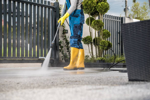 Best Patio and Deck Pressure Washing  in Dale City, VA