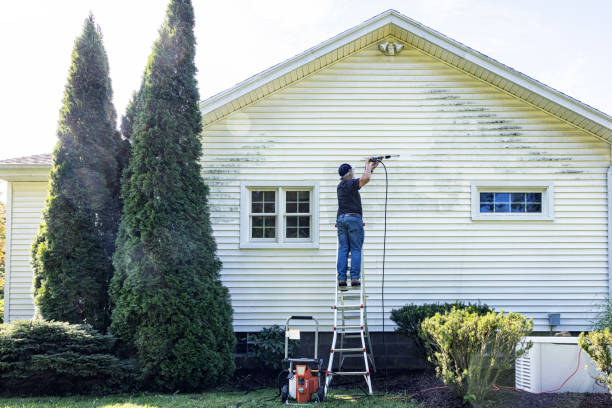 Best Roof Washing  in Dale City, VA